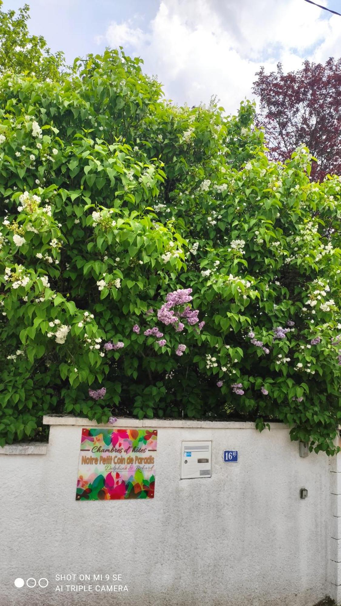Petit Coin De Paradis Homestay Fontaine-les-Luxeuil